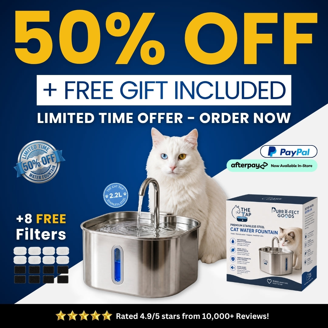 The Cat Tap™ - Drinking Fountain NEW V2