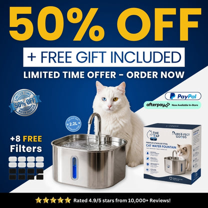 The Cat Tap™ - Drinking Fountain NEW V2