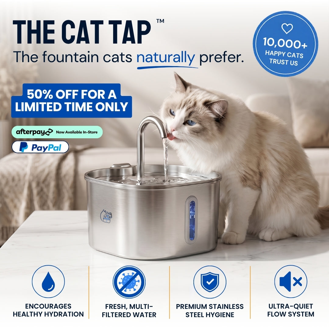 The Cat Tap™ - Drinking Fountain NEW V2