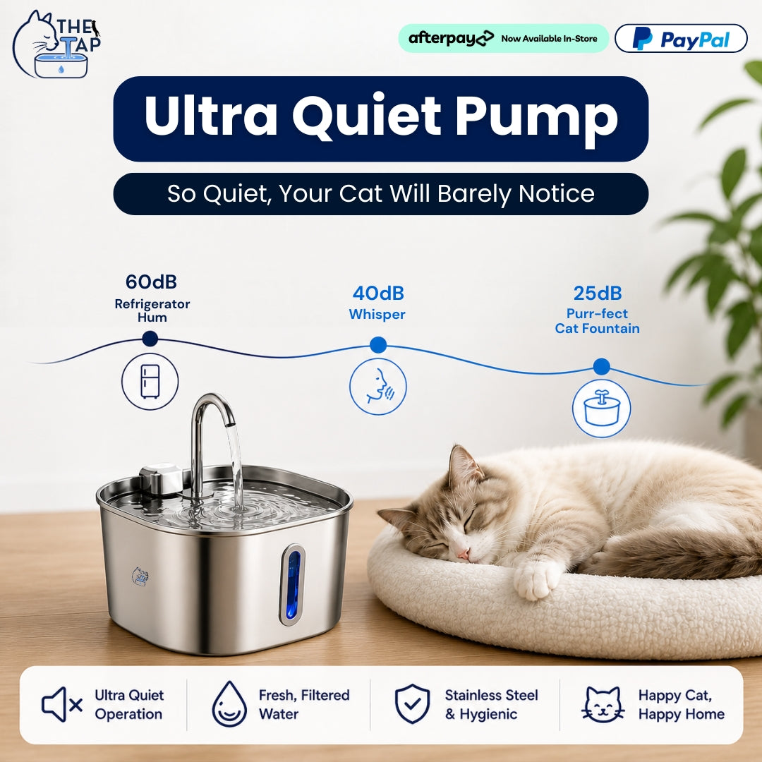 The Cat Tap™ - Drinking Fountain NEW V2