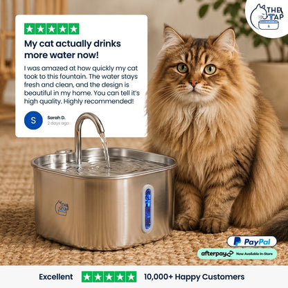 The Cat Tap™ - Drinking Fountain NEW V2