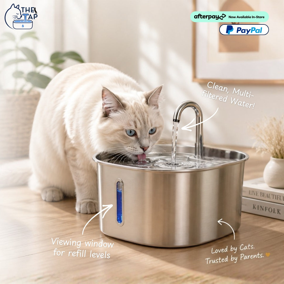 The Cat Tap™ - Drinking Fountain NEW V2